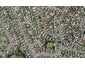 14 Lewisham Street, Highland Park, Auckland - Carousel 1