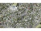 1/80 Matipo Road, Mairangi Bay, Auckland - Carousel 1