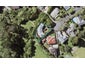 23 Abingdon Place, Glendowie, Auckland - Carousel 1