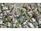 20E Sabot Place, Massey, Auckland - Carousel 1