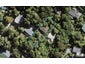 65 Park Road, Titirangi, Auckland - Carousel 1