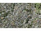 5B Godfrey Place, Kohimarama, Auckland - Carousel 1