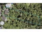 50 Kopiko Road, Titirangi, Auckland - Carousel 1
