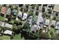 18 Grove Road, Sandringham, Auckland - Carousel 1
