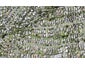 50C Beulah Avenue, Rothesay Bay, Auckland - Carousel 1