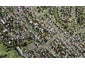 38B Cormack Street, Mount Roskill, Auckland - Carousel 1