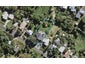 8 Ridge Road, Oneroa, Waiheke Island - Carousel 1