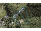 312D Sea View Road, Ostend, Waiheke Island - Carousel 1