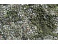 35 Reynolds Place, Torbay, Auckland - Carousel 1