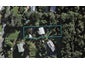 61 Erua Road, Ostend, Waiheke Island - Carousel 1