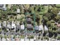 4/45 Third Avenue, Kingsland, Auckland - Carousel 1