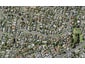 16A Meadway, Sunnyhills, Auckland - Carousel 1
