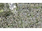 2C Grandison Crescent, New Lynn, Auckland - Carousel 1