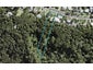 53 Minnehaha Avenue, Titirangi, Auckland - Carousel 1