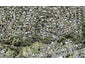 14 Thuja Street, Green Bay, Auckland - Carousel 1