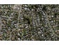 48 Entrican Avenue, Remuera, Auckland - Carousel 1