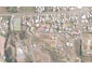 16 Torsby Road, Coopers Beach, Coopers Beach - Carousel 1