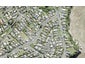 959 Whangaparaoa Road, Manly, Whangaparaoa - Carousel 1