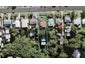 2/15 Fordham Street, Beach Haven, Auckland - Carousel 1
