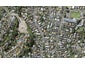 29 Comins crescent, Mission Bay, Auckland - Carousel 1