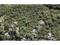 8 Hobson Heights Road, Lucas Heights, Auckland - Carousel 1