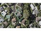 13 Anakiwa Place, Milford, Auckland - Carousel 1