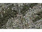 1B Moore Street, Hillcrest, Auckland - Carousel 1