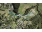 45A Murphys Road, Tōtara Park, Auckland - Carousel 1
