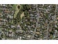 30 Orakei Road, Remuera, Auckland - Carousel 1