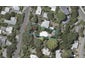 11 Tennis Court Road, Raumati South, Paraparaumu - Carousel 1