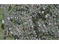 26A Mellsop Avenue, Waiuku, Waiuku - Carousel 1