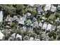 17 Essex Road, Mount Eden, Auckland - Carousel 1