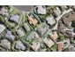 27 Gala Place, Henderson, Auckland - Carousel 1