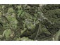 40 Godley Lane, Lucas Heights, Auckland - Carousel 1