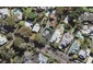 13A Clarence Road, Northcote Point, Auckland - Carousel 1