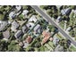93 Beach Road, Mellons Bay, Auckland - Carousel 1