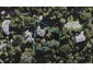 111 Pemberton Avenue, Bayview, Auckland - Carousel 1