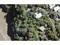 35 Arapito Road, Titirangi, Auckland - Carousel 1