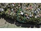 62 Seacliffe Road, Hillsborough, Auckland - Carousel 1