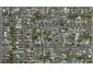25 Dome Street, Georgetown, Invercargill - Carousel 1
