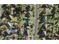 3 Sanft Avenue, Mount Roskill, Auckland - Carousel 1