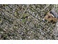 37B Alford Street, Waterview, Auckland - Carousel 1