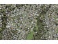 65 Salisbury Road, Birkdale, Auckland - Carousel 1