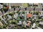 18 Picasso Drive, West Harbour, Auckland - Carousel 1