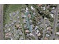 16 Caledonia Place, Highlands Park, New Plymouth - Carousel 1