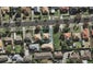 17 Arapuni Avenue, Onehunga, Auckland - Carousel 1