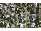 10 Hibiscus Place, Hillsborough, Auckland - Carousel 1