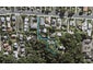 234 Onewa Road, Birkenhead, Auckland - Carousel 1
