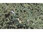 180 Opanuku Road, Henderson Valley, Auckland - Carousel 1