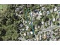 95 Park Rise, Campbells Bay, Auckland - Carousel 1